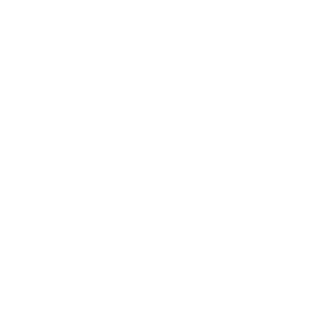 SEO (3) Digital Marketing SEO icon white