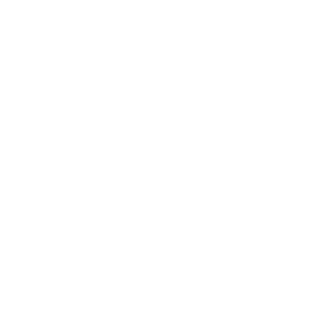 Social Media (3) Digital Marketing social media marketing and management icon white